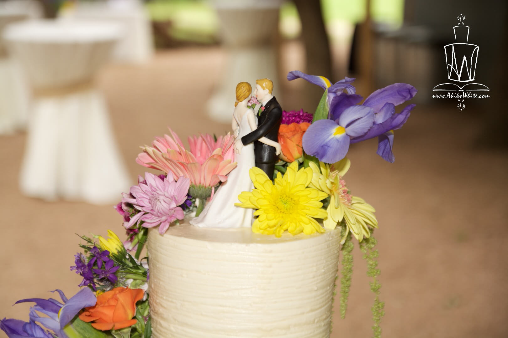 Preview Image 8